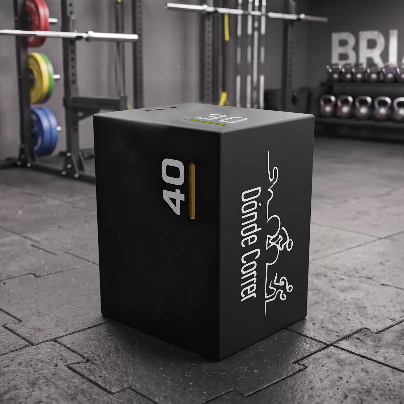 Ejemplo de Personalización de Logo Brialbox